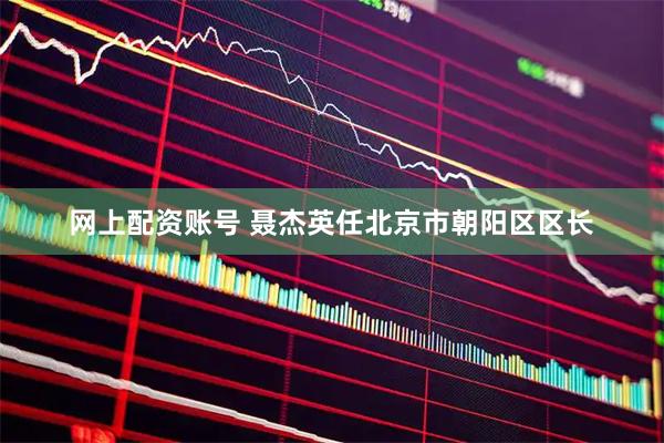 网上配资账号 聂杰英任北京市朝阳区区长