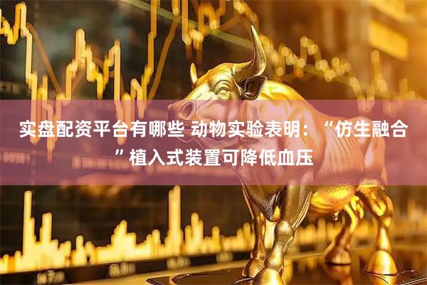 实盘配资平台有哪些 动物实验表明：“仿生融合”植入式装置可降低血压